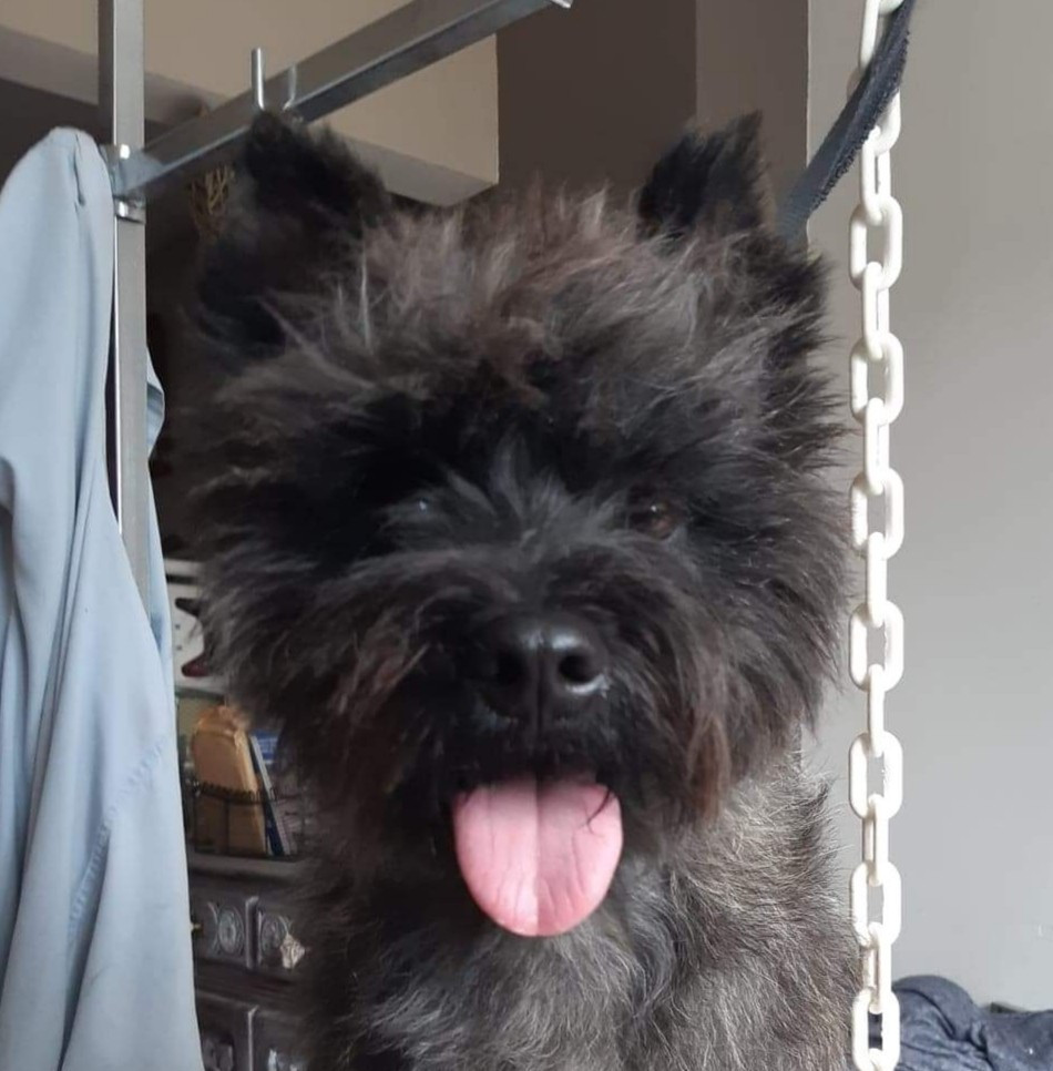 T'as pas tout vu du domaine de kerallan