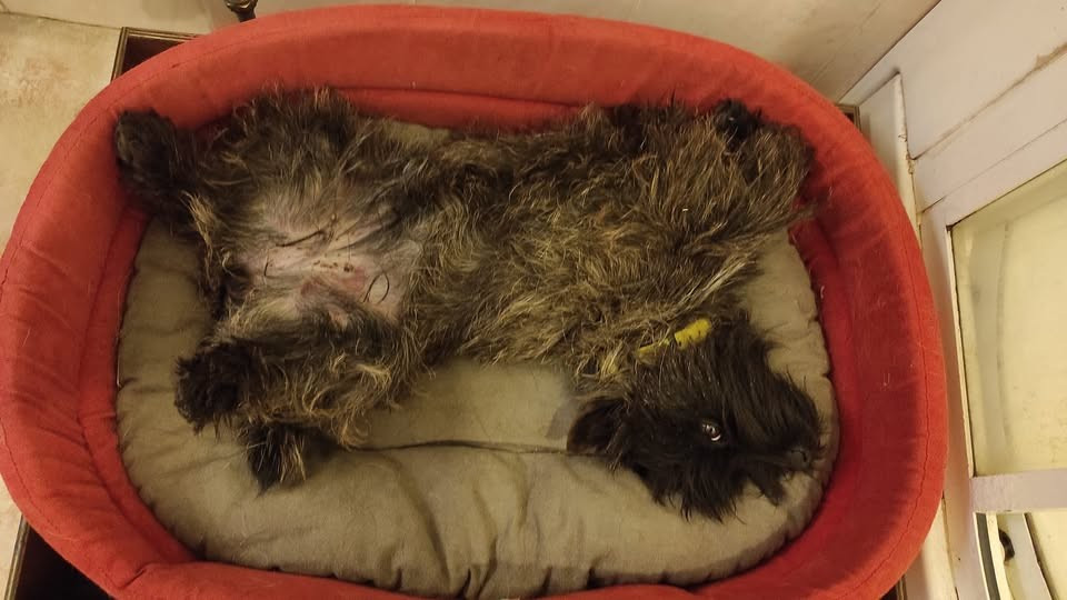 Uuhh lala glen du domaine de kerallan